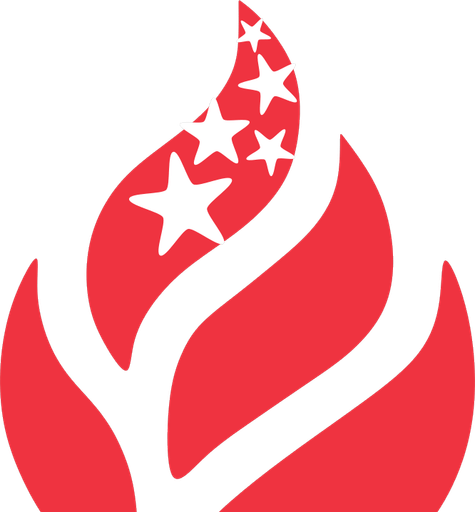 Singapore Section of the Combustion Institute